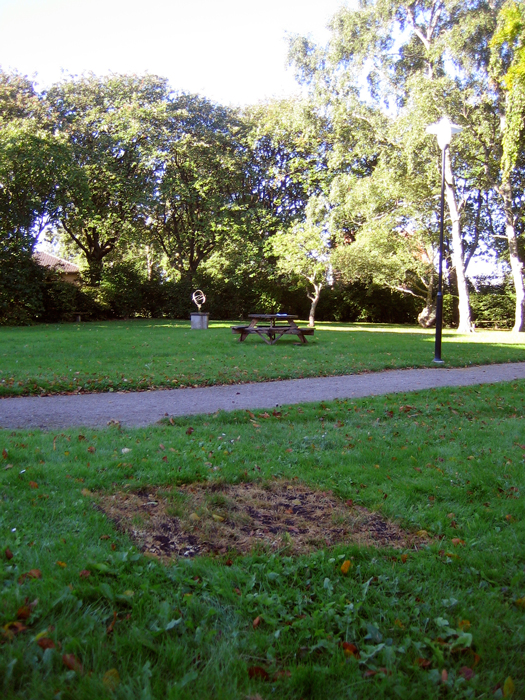 View during fall.