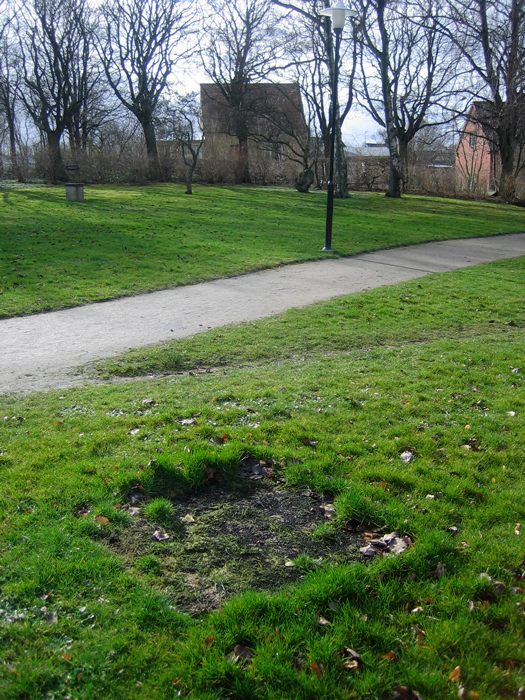 View during spring.